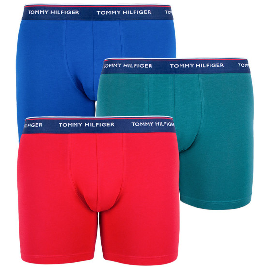 3PACK Boxershorts för herrar Tommy Hilfiger multicolour (UM0UM00010 052)