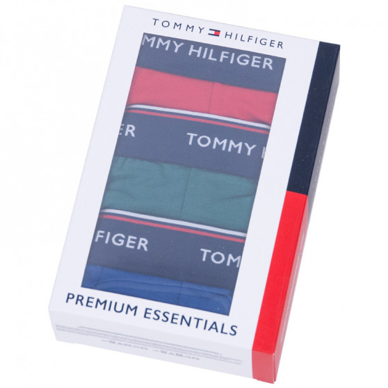 3PACK Boxershorts för herrar Tommy Hilfiger multicolour (UM0UM00010 052)