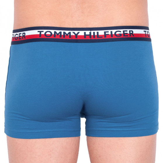 2PACK Boxershorts för herrar Tommy Hilfiger multicolour (UM0UM00746 006)