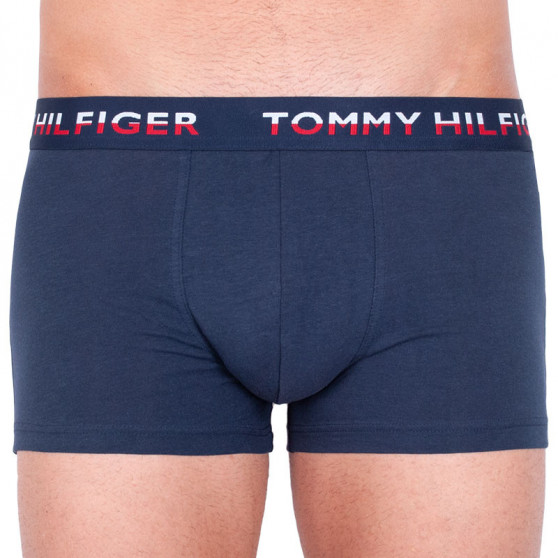 2PACK Boxershorts för herrar Tommy Hilfiger multicolour (UM0UM00746 006)