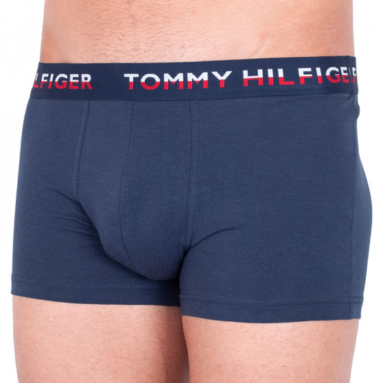 2PACK Boxershorts för herrar Tommy Hilfiger multicolour (UM0UM00746 006)