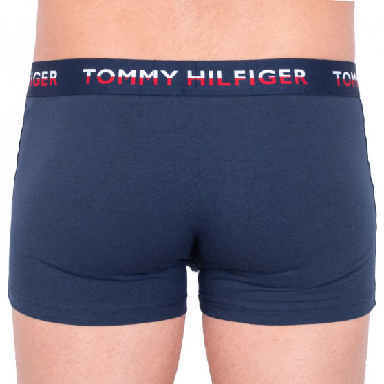 2PACK Boxershorts för herrar Tommy Hilfiger multicolour (UM0UM00746 006)