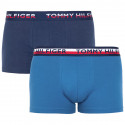 2PACK Boxershorts för herrar Tommy Hilfiger multicolour (UM0UM00746 006)