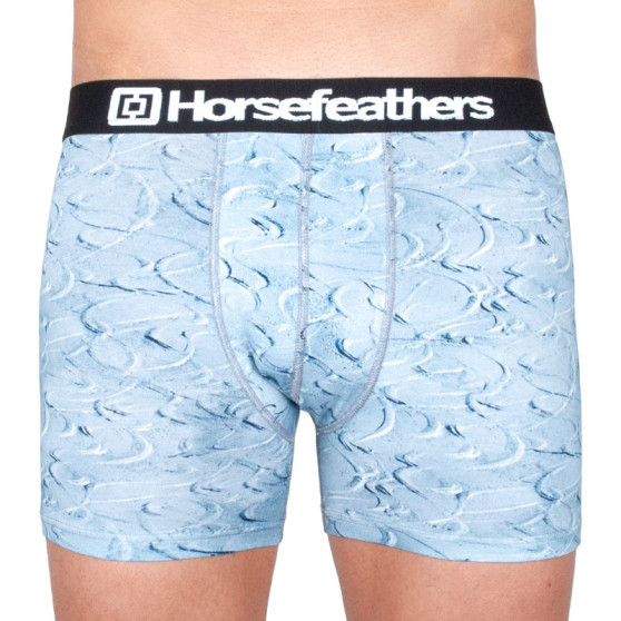 Boxershorts för män Horsefeathers Sidney turns (AM070J)