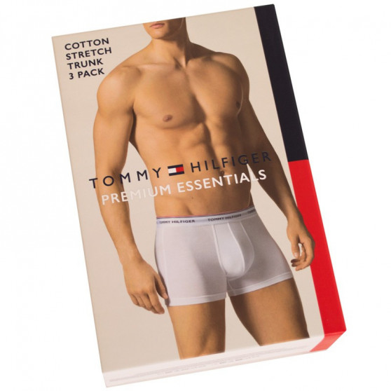 3PACK boxershorts för herrar Tommy Hilfiger multicolour oversized (1U87905252 004)