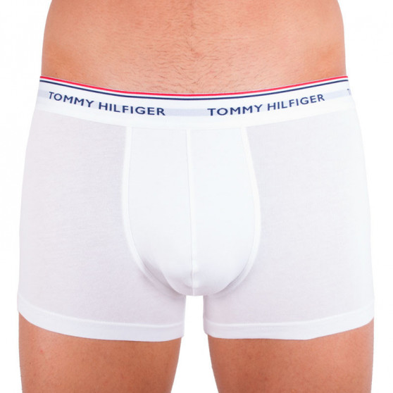 3PACK boxershorts för herrar Tommy Hilfiger multicolour oversized (1U87905252 004)