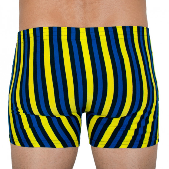 Boxershorts för herrar Styx lång klassisk elastisk flerfärgad (F860)