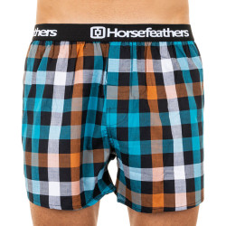 boxershorts för herrar Horsefeathers Clay teal green (AM068H)