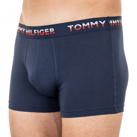 2PACK Boxershorts för herrar Tommy Hilfiger multicolour (UM0UM01233 088)