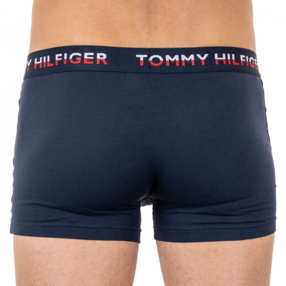 2PACK Boxershorts för herrar Tommy Hilfiger multicolour (UM0UM01233 088)