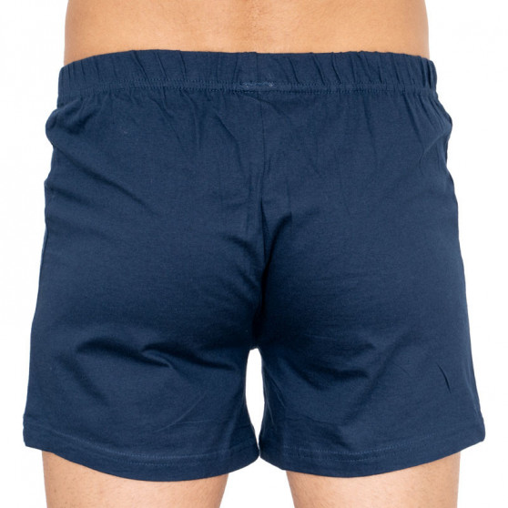 2PACKBoxershorts för herrar Molvy flerfärgad (KP-062-BBU)