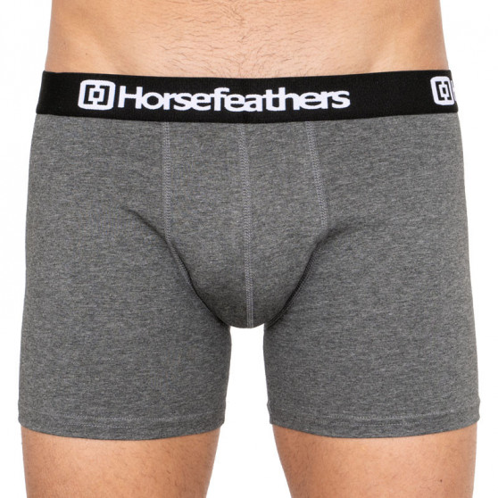 3PACK Boxershorts för herrar Horsefeathers Dynasty ljung antracit (AM067B)