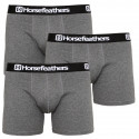 3PACK Boxershorts för herrar Horsefeathers Dynasty ljung antracit (AM067B)