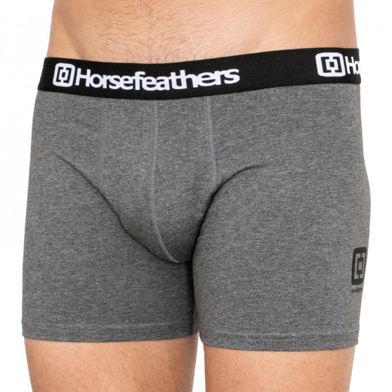 3PACK Boxershorts för herrar Horsefeathers Dynasty ljung antracit (AM067B)