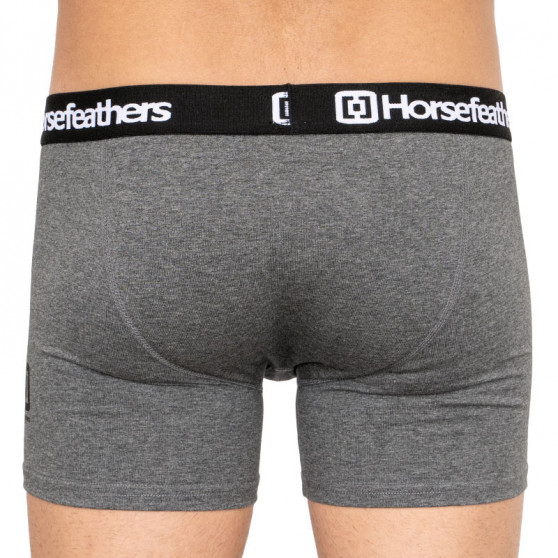 3PACK Boxershorts för herrar Horsefeathers Dynasty ljung antracit (AM067B)