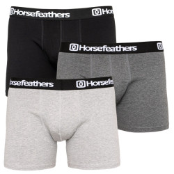 3PACK Boxershorts för herrar Horsefeathers multicolour (AM067D)