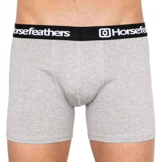 3PACK Boxershorts för herrar Horsefeathers multicolour (AM067D)