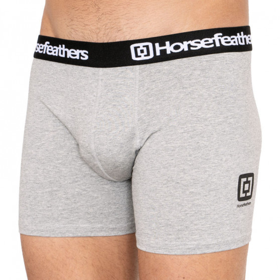 3PACK Boxershorts för herrar Horsefeathers multicolour (AM067D)