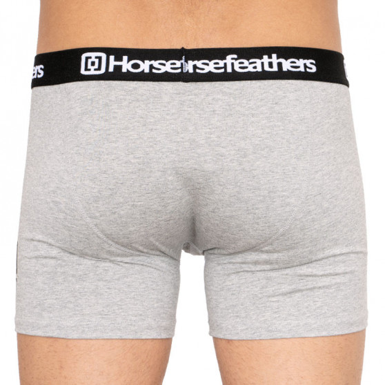 3PACK Boxershorts för herrar Horsefeathers multicolour (AM067D)