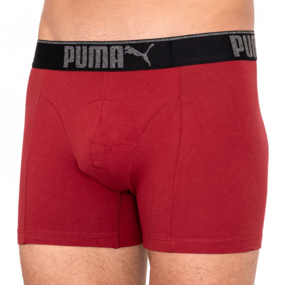 3PACK Boxershorts för herrar Puma multicolour (681030001 899)