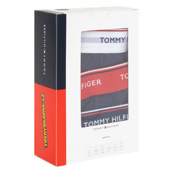 3PACK herrkalsonger Tommy Hilfiger mörkblå (1U87903766 904)