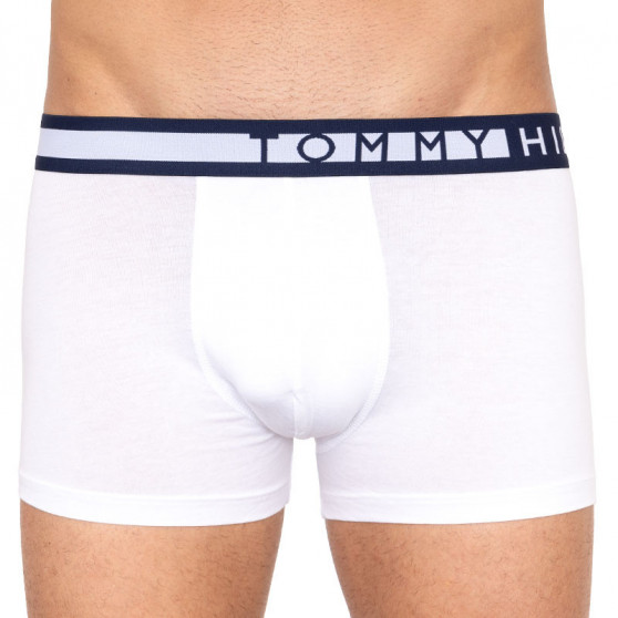 3PACK Boxershorts för herrar Tommy Hilfiger multicolour (UM0UM01234 599)