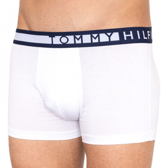 3PACK Boxershorts för herrar Tommy Hilfiger multicolour (UM0UM01234 599)