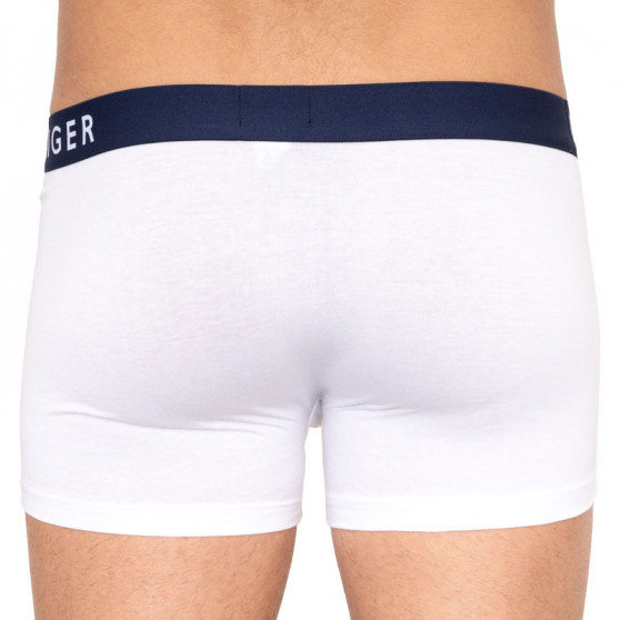 3PACK Boxershorts för herrar Tommy Hilfiger multicolour (UM0UM01234 599)