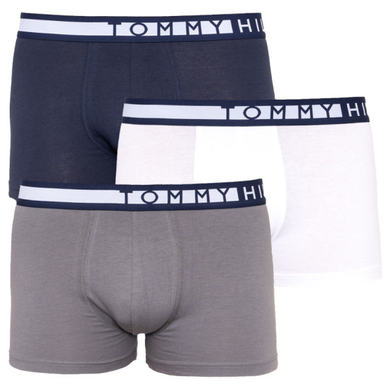 3PACK Boxershorts för herrar Tommy Hilfiger multicolour (UM0UM01234 599)