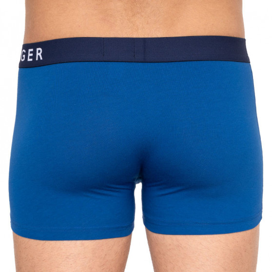 3PACK Boxershorts för herrar Tommy Hilfiger multicolour (UM0UM01565 018)