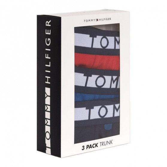 3PACK Boxershorts för herrar Tommy Hilfiger multicolour (UM0UM01565 018)