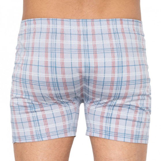 boxershorts för herrar Andrie grå (PS 5275d)