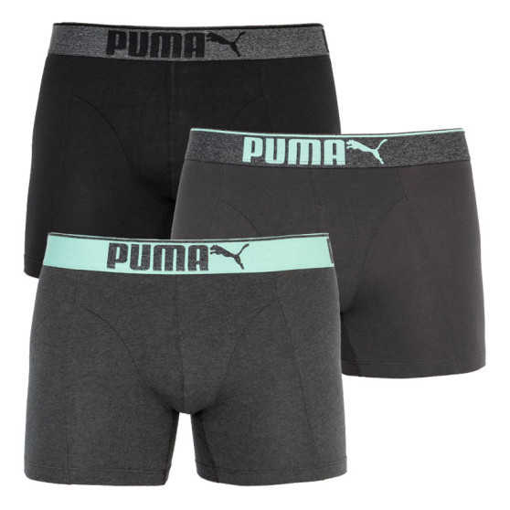 3PACK Boxershorts för herrar Puma multicolour (681030001 005)