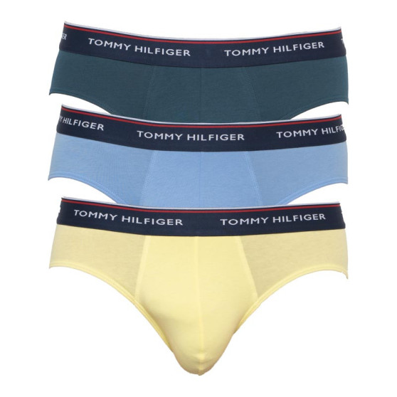 3PACK herrkalsonger Tommy Hilfiger multicolour (1U87903766 0RV)