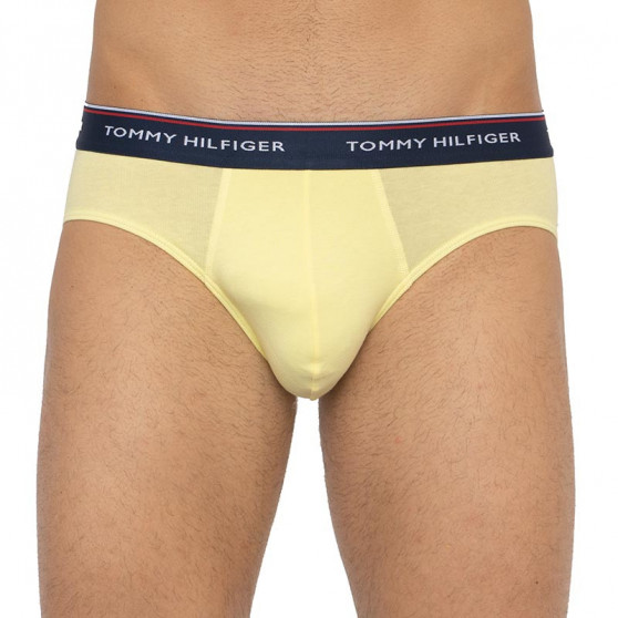 3PACK herrkalsonger Tommy Hilfiger multicolour (1U87903766 0RV)