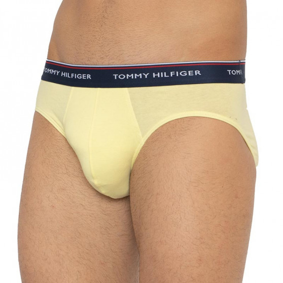 3PACK herrkalsonger Tommy Hilfiger multicolour (1U87903766 0RV)