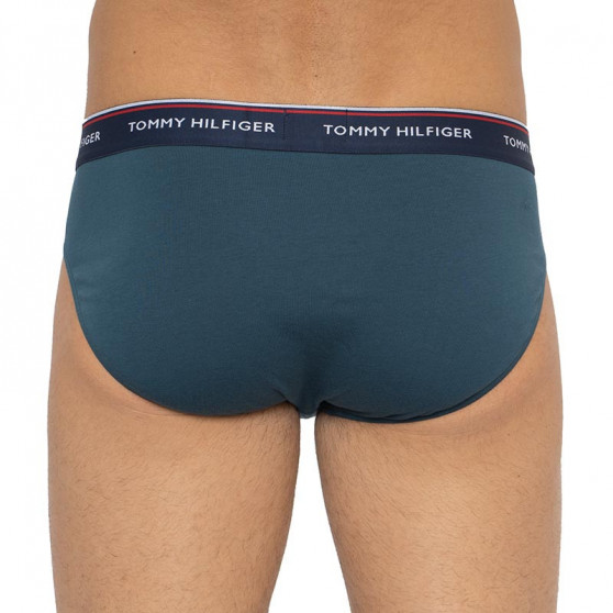 3PACK herrkalsonger Tommy Hilfiger multicolour (1U87903766 0RV)