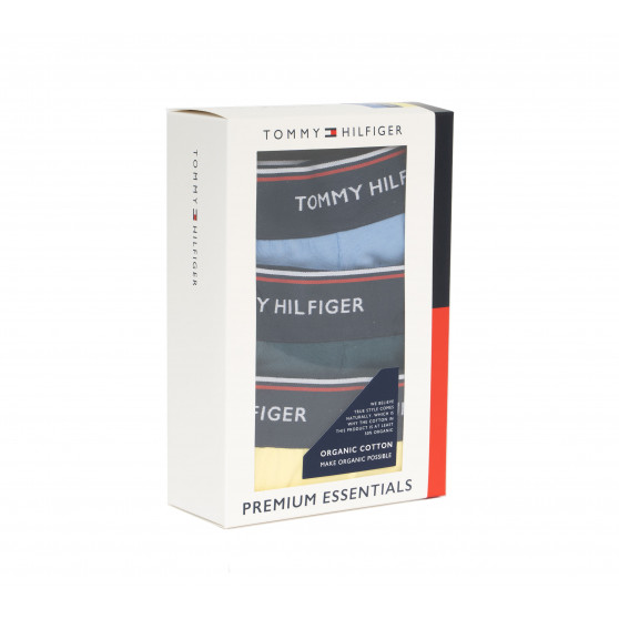 3PACK herrkalsonger Tommy Hilfiger multicolour (1U87903766 0RV)