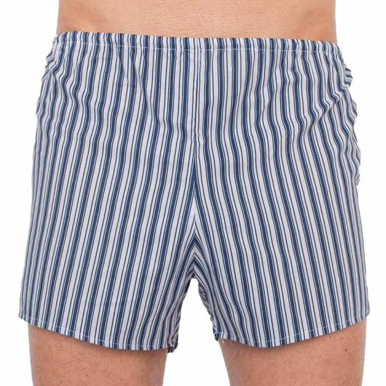 Boxershorts för herrar Foltýn mörkblå ränder