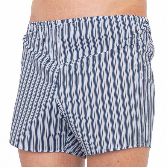 Boxershorts för herrar Foltýn mörkblå ränder