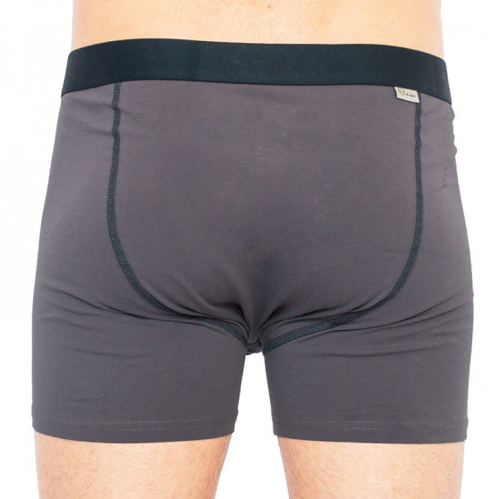 Boxershorts för herrar A-dam grå (1P KOERT)