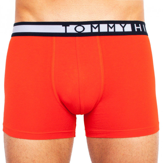 3PACK Boxershorts för herrar Tommy Hilfiger multicolour (UM0UM01565 0WJ)