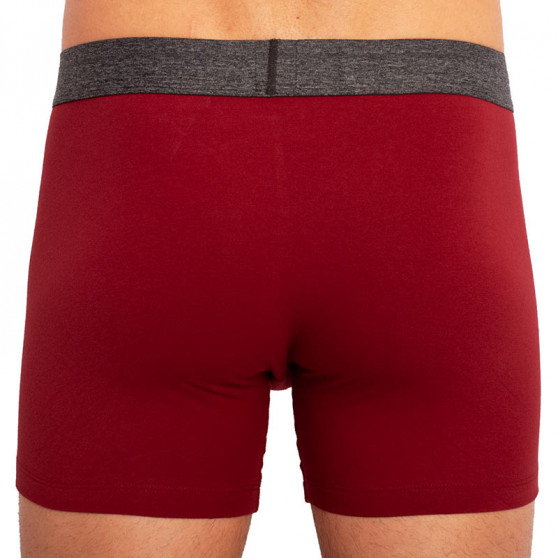 2PACK Boxershorts för herrar Levis multicolour (100000514 001)