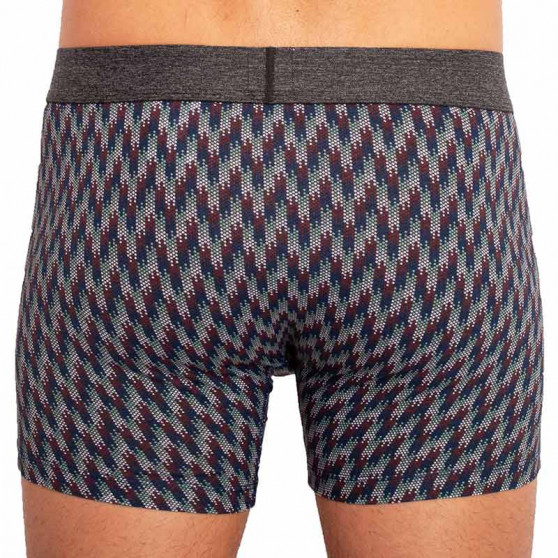 2PACK Boxershorts för herrar Levis multicolour (100000514 001)