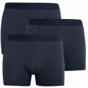 3PACK Boxershorts för herrar Levis blå (905045001 008)