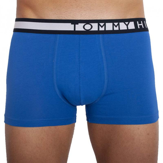 3PACK Boxershorts för herrar Tommy Hilfiger multicolour (UM0UM01565 0TY)