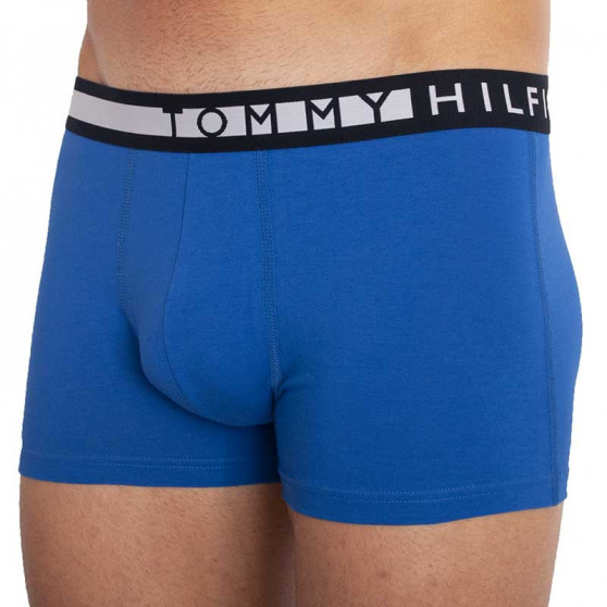 3PACK Boxershorts för herrar Tommy Hilfiger multicolour (UM0UM01565 0TY)