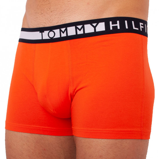 3PACK Boxershorts för herrar Tommy Hilfiger multicolour (UM0UM01565 0T2)