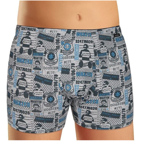 Boxershorts för herrar Andrie grå (PS 5340 B)