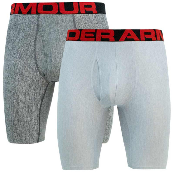 2PACK Boxershorts för herrar Under Armour grå (1363622 011)